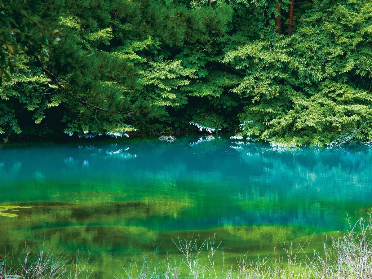Urabandai Lake Resort Goshiki No Mori Kitashiobara Εξωτερικό φωτογραφία